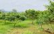 thum-m_wfUS6kc5HG_1648647552.jpg