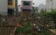 thum-m_xJPRr7CF3B_1648654076.jpg