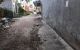 thum-8493388_GagES9FjyP_1648700752.jpg