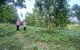 thum-8494288_8qR6QEcK7w_1648737237.jpg