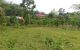 thum-8494326_F0mw4LXTP8_1648739734.jpg