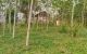 thum-8494326_VwC3gqoyFQ_1648739726.jpg
