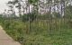 thum-8494326_lIxPLOQ9vz_1648739729.jpg