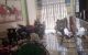 thum-8496407_vaqjBWXxS2_1648794486.jpg