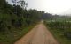 thum-8496737_Ag5VZQw18l_1648799278.jpg