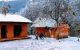 thum-8496998_P9EJodzRYv_1648802568.jpg