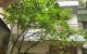 thum-m_5vVSsmjduR_1648780828.jpg