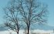 thum-m_RsrbWqfl92_1648806280.jpg