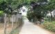 thum-m_lxfHReSbWz_1648798195.jpg