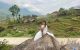 thum-8500215_no65FbQV3t_1648878087.jpg