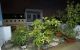 thum-8500285_A3SLfmGRP1_1648882295.jpg