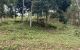 thum-8500472_JvADm5R1hn_1648885544.jpg