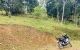 thum-8500472_i6Mf5JQ83q_1648885547.jpg