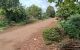 thum-8500539_gn5ONvY9ST_1648887049.jpg