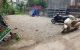 thum-8500910_MkRrnbjz21_1648910395.jpg