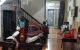 thum-8502278_6jCcfMsJv7_1648936146.jpg