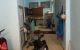 thum-8503437_t3fqpGLjdF_1648981456.jpg