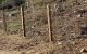 thum-8505434_tEpRbaBIlj_1649039076.jpg