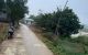 thum-8505656_7qVGaHCwEA_1649042261.jpg