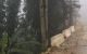 thum-8506424_l27voVbN31_1649059756.jpg