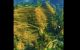 thum-8506757_ZGifupwdxM_1649069282.jpg