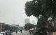 thum-m_53ReW9Quyk_1649040208.jpg