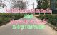thum-m_fgeyW1DQa0_1649037256.jpg