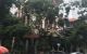 thum-m_yhkJ05uVen_1649043504.jpg