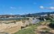 thum-8509476_Eecw7mHvl4_1649140238.jpg