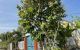 thum-8509906_MLprSw3EZC_1649146200.jpg