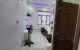 thum-m_e5y1UEH0cS_1649124255.jpg