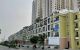 thum-8511539_WrTEGLtNb0_1649210755.jpg