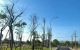 thum-8512626_cbMG2jEsBX_1649228768.jpg