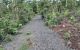 thum-8512711_BwubWPoGAh_1649230108.jpg