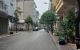thum-8513029_1x7GR8NAcq_1649234073.jpg