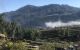 thum-8514832_dKl76mQPhw_1649301257.jpg