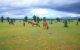 thum-8515655_2nUQ7m0LfH_1649316994.jpg