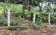 thum-m_O576pNMn2C_1649293542.jpg