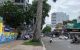 thum-m_ZQ8kjBewqF_1649287851.jpg