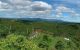 thum-8516541_gP0CdZKAr5_1649381491.jpg