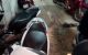 thum-8516557_eEgpzkPm7H_1649382488.jpg