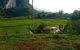 thum-8516645_f3NCk7qrJP_1649384835.jpg