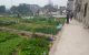 thum-8516998_TjE7Gy3LdO_1649391372.jpg