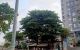 thum-8517171_L0Bv6XA2mf_1649396600.jpg