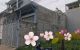 thum-8517179_EyuKR3q4pC_1649397114.jpg
