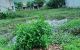 thum-m_irfke4AjOw_1649386688.jpg
