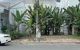 thum-m_SX9DQhAVYP_1649479261.jpg