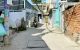 thum-8521358_fwiNlHgcn1_1649563683.jpg