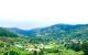 thum-8522964_XslRTg6xrZ_1649665863.jpg