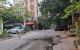 thum-m_RsMcmzgj0a_1649616232.jpg
